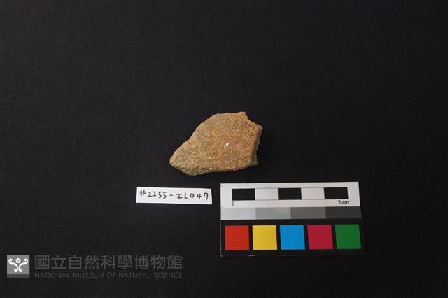 陶片藏品圖，第1張