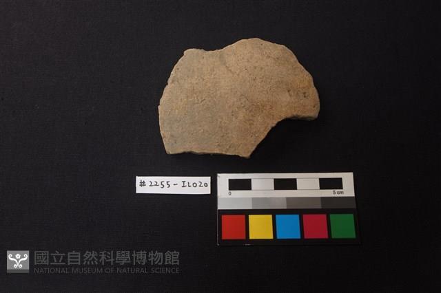 陶片藏品圖，第1張