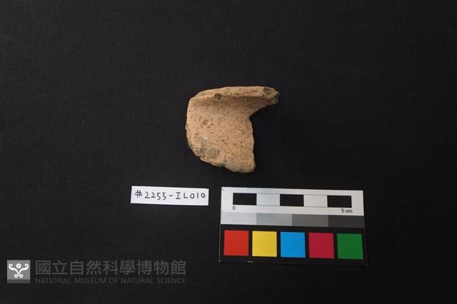 陶片藏品圖，第1張