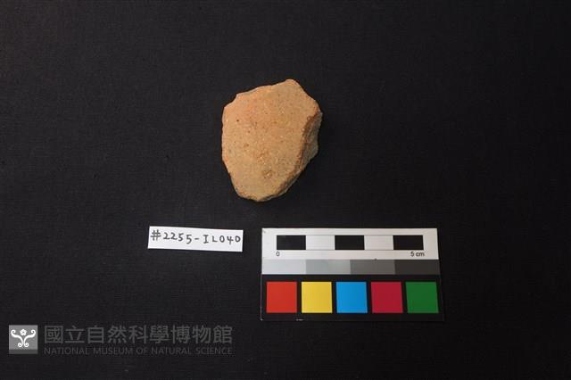 陶片藏品圖，第1張