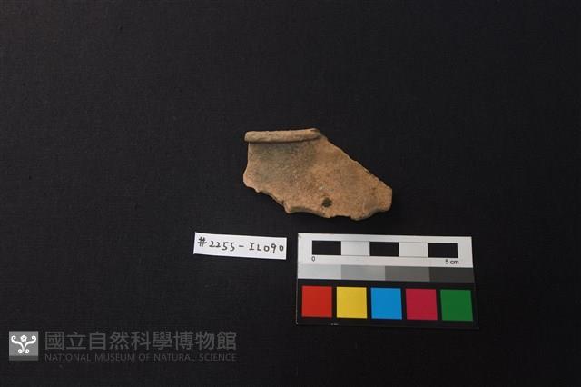 陶片藏品圖，第1張