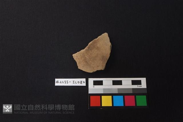 陶片藏品圖，第1張