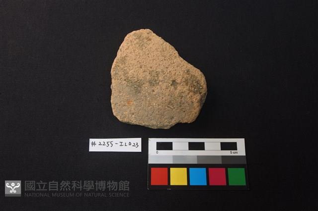 陶片藏品圖，第1張