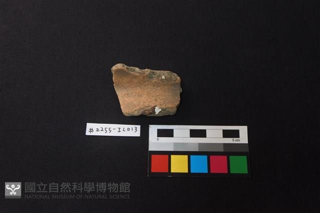 陶片藏品圖，第1張