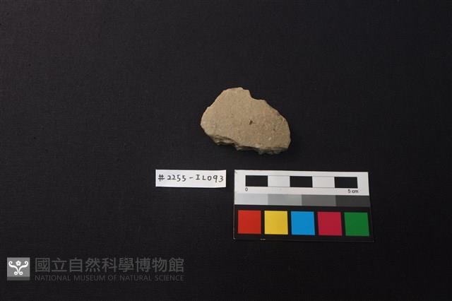 陶片藏品圖，第1張