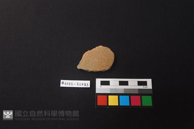 陶片藏品圖，第1張