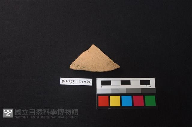 陶片藏品圖，第1張