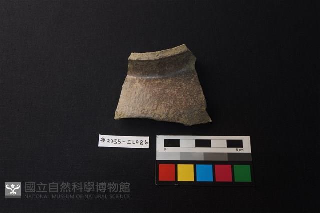 陶片藏品圖，第1張