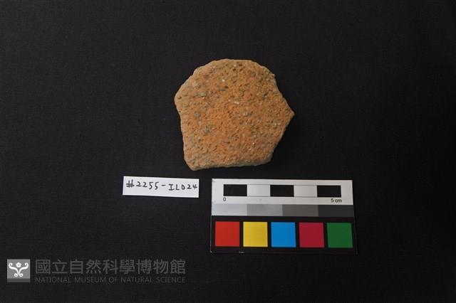 陶片藏品圖，第1張