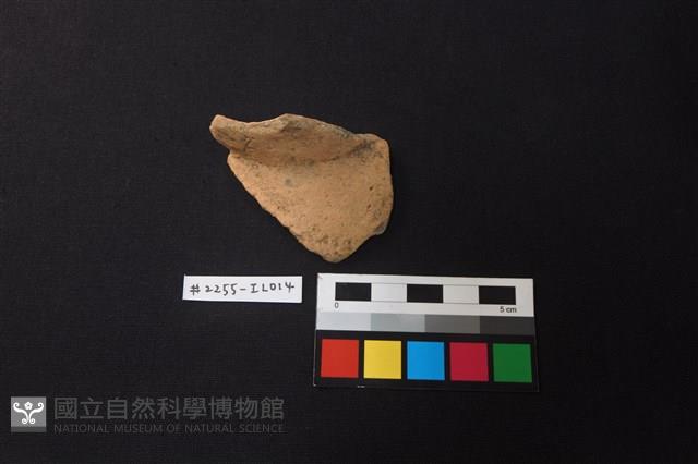 陶片藏品圖，第1張