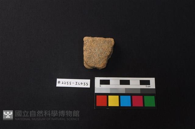 陶片藏品圖，第1張