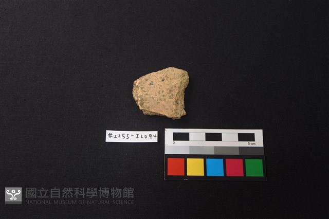 陶片藏品圖，第1張