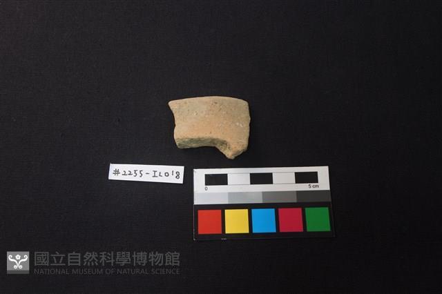 陶片藏品圖，第1張