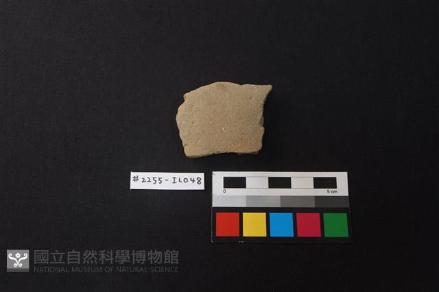 陶片藏品圖，第1張