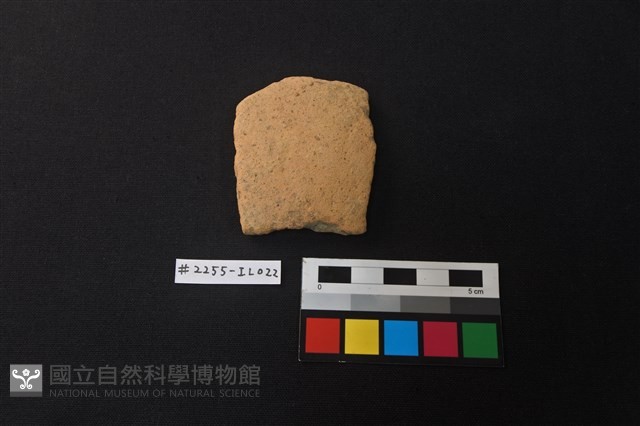 陶片藏品圖，第1張