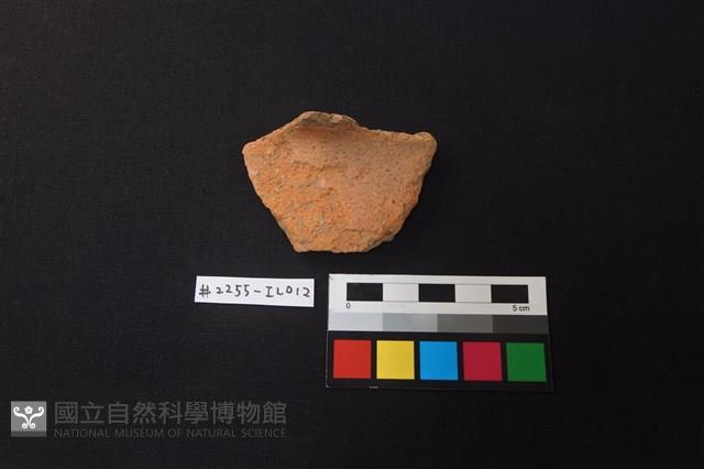 陶片藏品圖，第1張