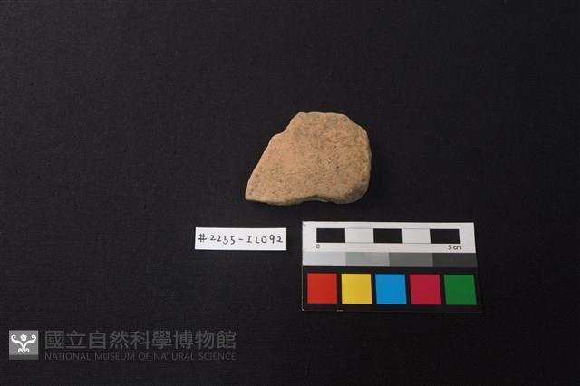 陶片藏品圖，第1張