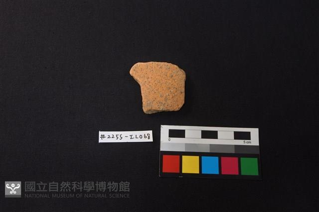 陶片藏品圖，第1張