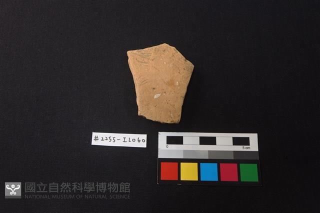 陶片藏品圖，第1張