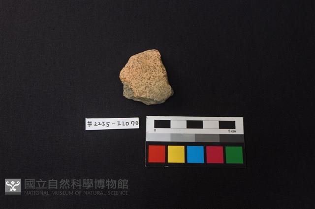 陶片藏品圖，第1張