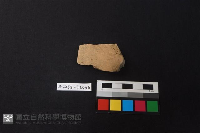 陶片藏品圖，第1張