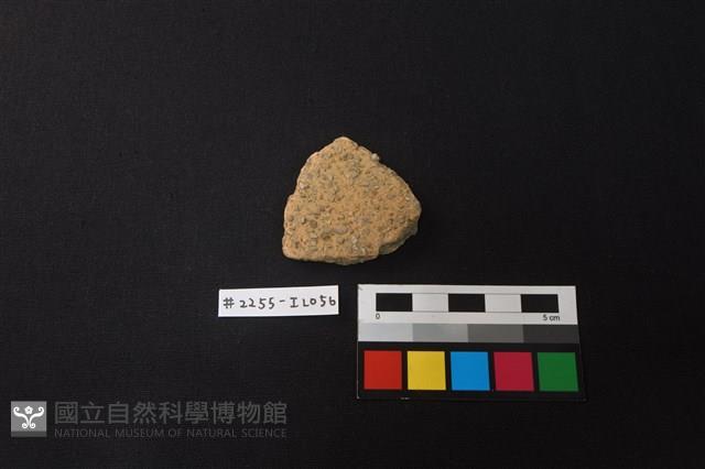 陶片藏品圖，第1張