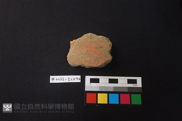 陶片藏品圖，第1張