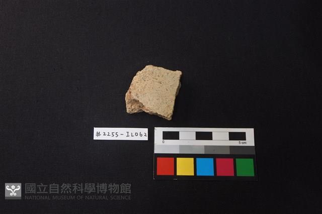 陶片藏品圖，第1張