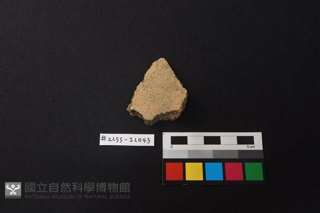 陶片藏品圖，第1張