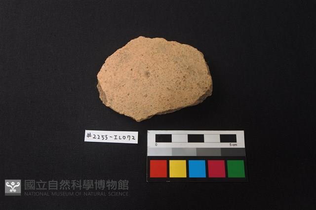 陶片藏品圖，第1張