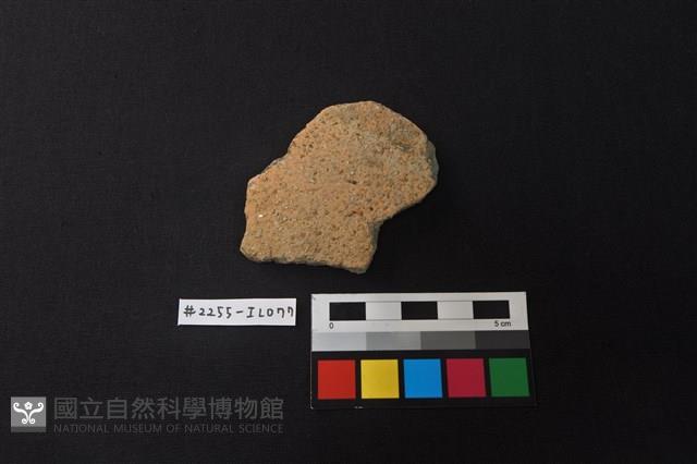 陶片藏品圖，第1張