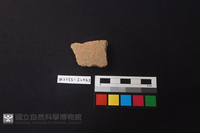 陶片藏品圖，第1張