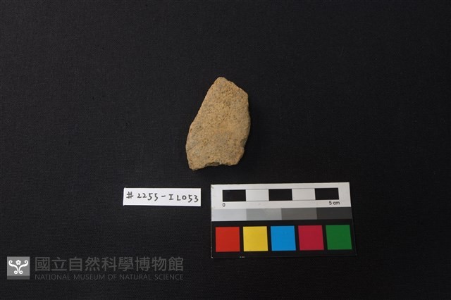 陶片藏品圖，第1張