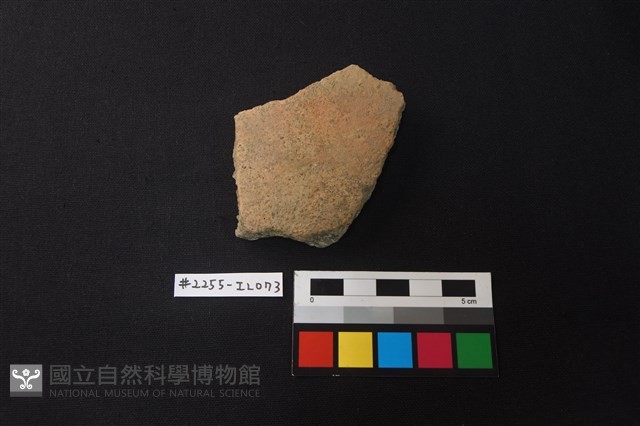 陶片藏品圖，第1張
