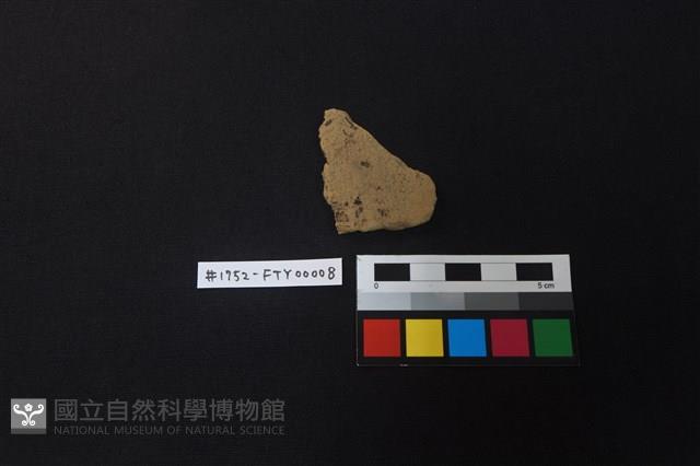 陶片藏品圖，第1張