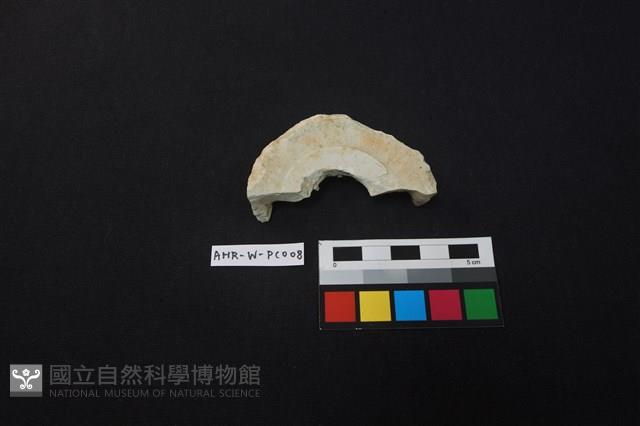 瓷片藏品圖，第1張