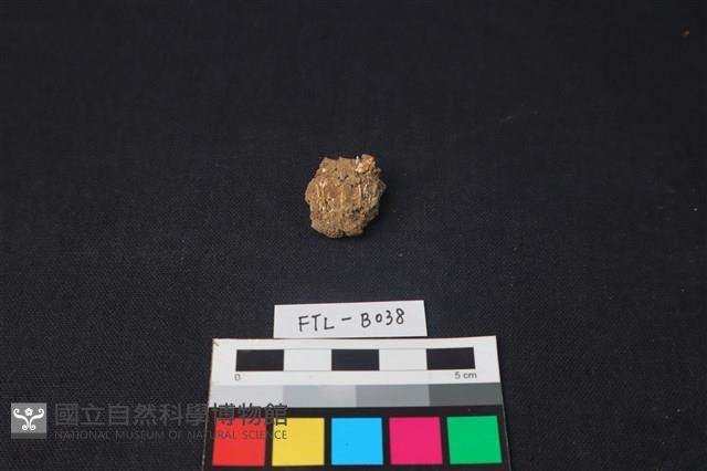 獸骨藏品圖，第1張