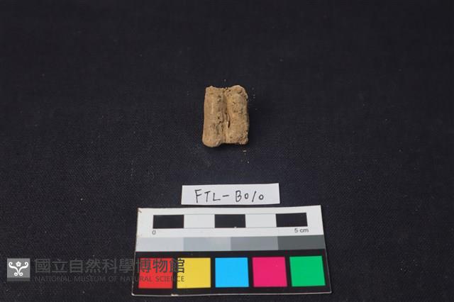 鹿骨藏品圖，第1張