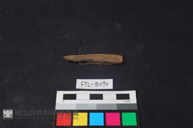 獸骨藏品圖，第1張