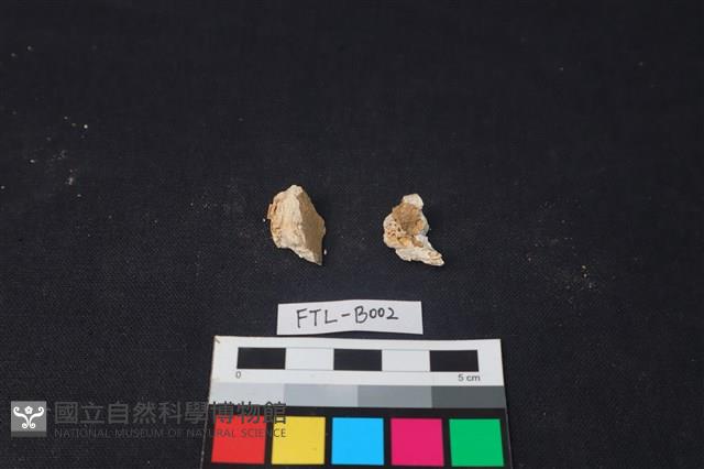 獸骨藏品圖，第1張