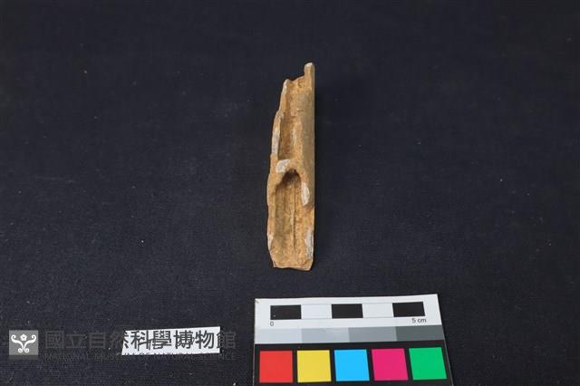 鹿骨藏品圖，第1張