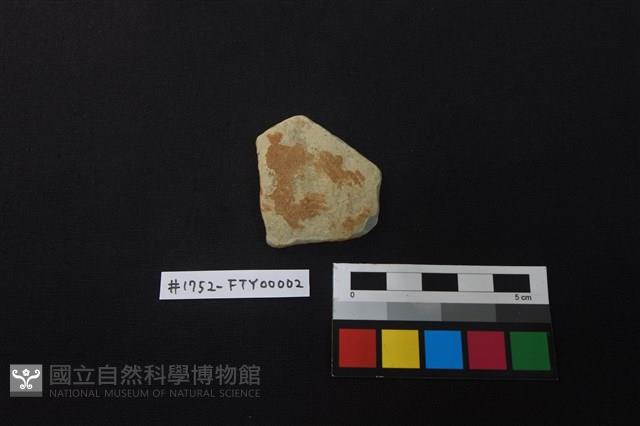 陶片藏品圖，第1張