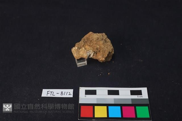 鹿骨藏品圖，第1張