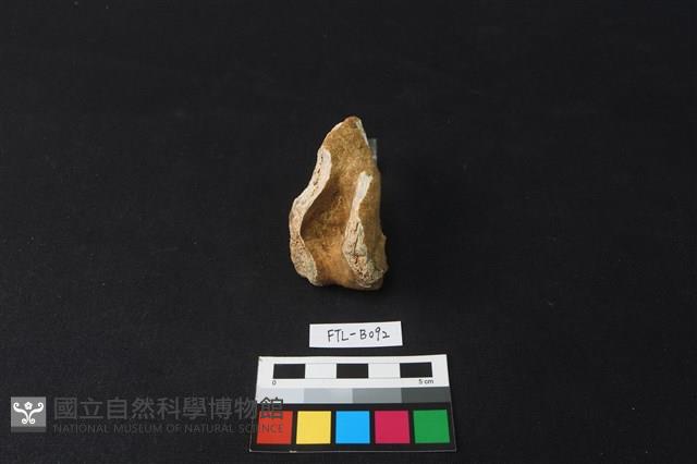 鹿骨藏品圖，第1張