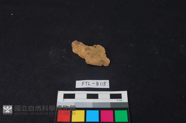 獸骨藏品圖，第1張