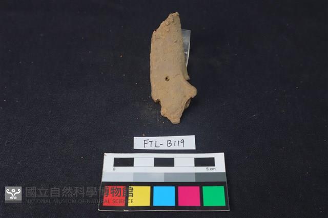 鹿骨藏品圖，第1張