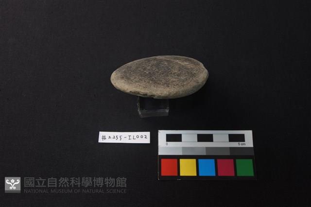 圓盤器藏品圖，第3張