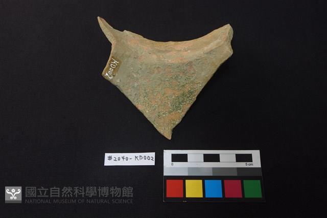 陶片藏品圖，第2張