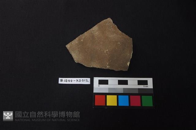 陶片藏品圖，第1張