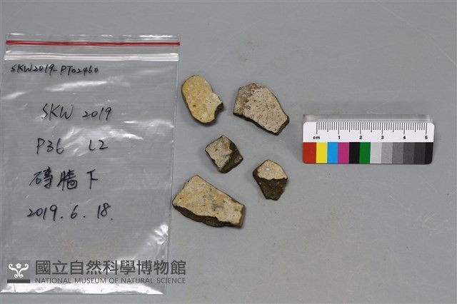 陶片藏品圖，第1張